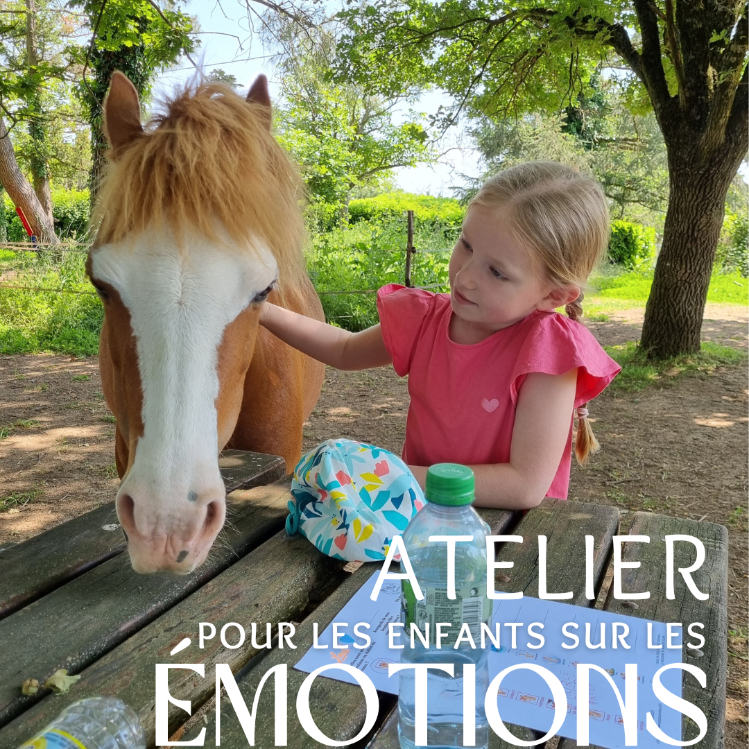 Atelier médiation equine Emotions Enfants