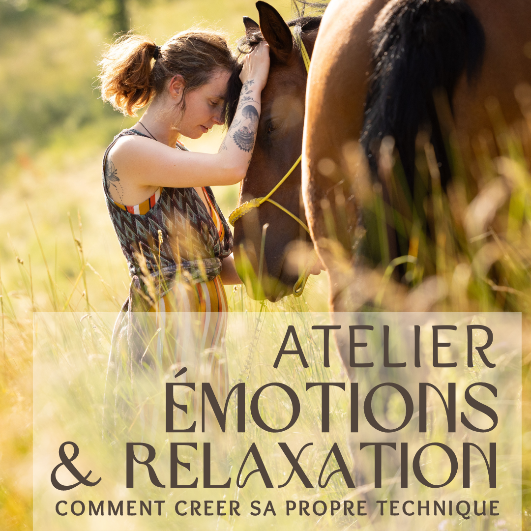 Atelier médiation equine Emotions et Relaxation