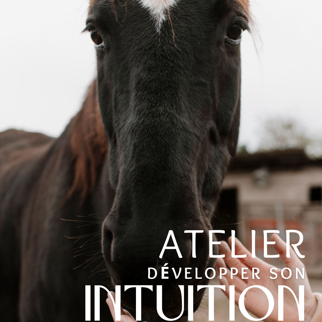 Atelier médiation equine Intuition