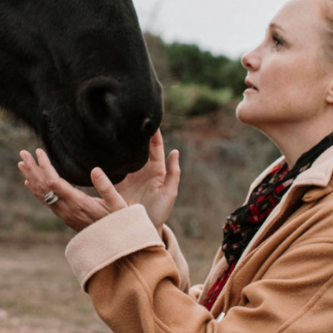 soins energetiques animaux